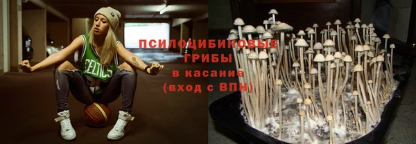 MDMA Медвежьегорск