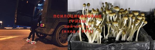 мяу мяу кристалл Мегион