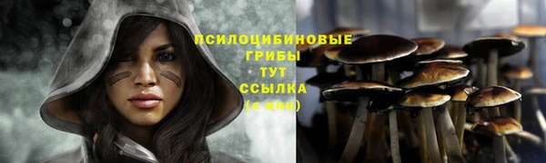 бошки Медногорск