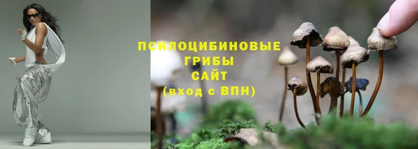 MDMA Медвежьегорск