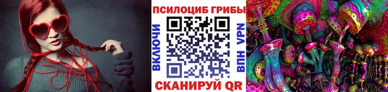 Купить  Пересвет  Псилоцибиновые грибы Cubensis 